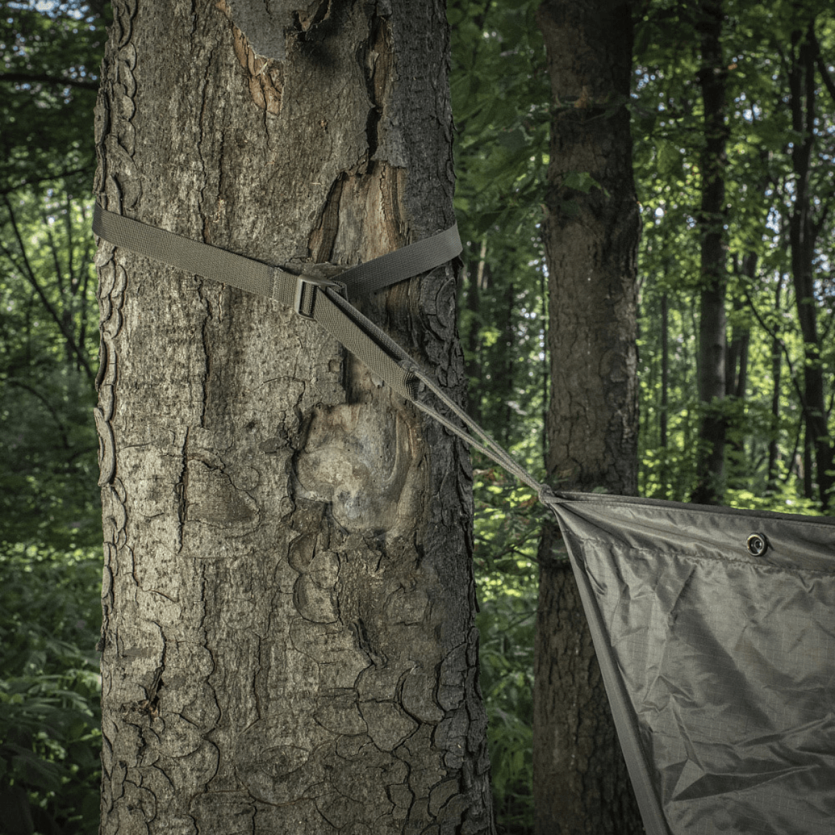 M-Tac Kompressionsrem i brug til fastgørelse af udstyr på et træ, ideelt til vandreture og taktisk brug.